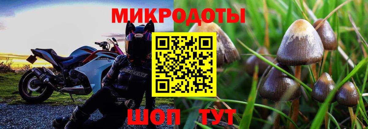 купить закладку  Галлюциногенные грибы ЛСД  Вход с VPN  Шатура 